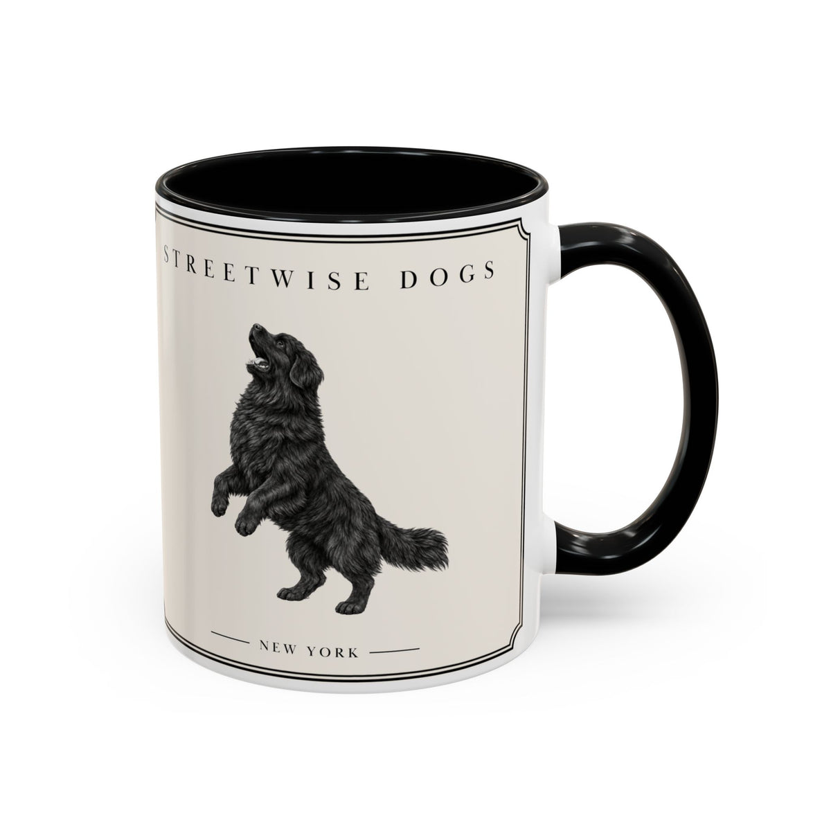 Newfoundland: Classic Accent Mug