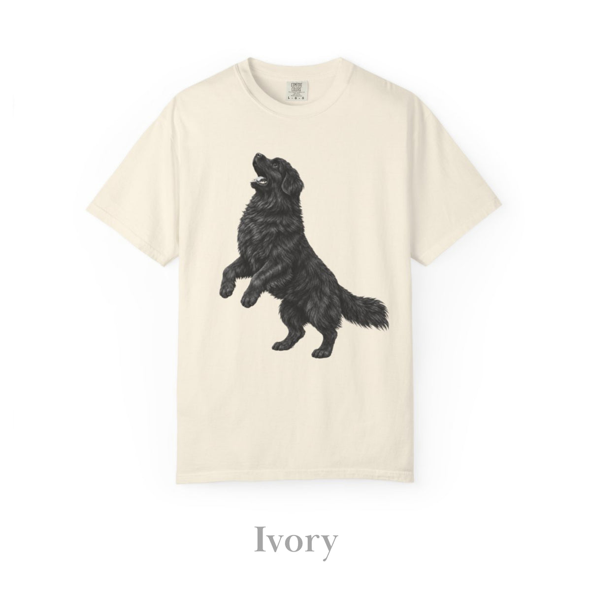 Newfoundland, Illustrated Unisex T-Shirt | Exceptional Comfort