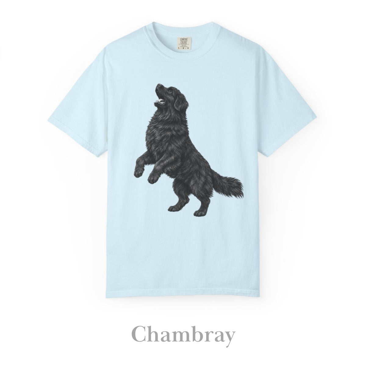 Newfoundland, Illustrated Unisex T-Shirt | Exceptional Comfort