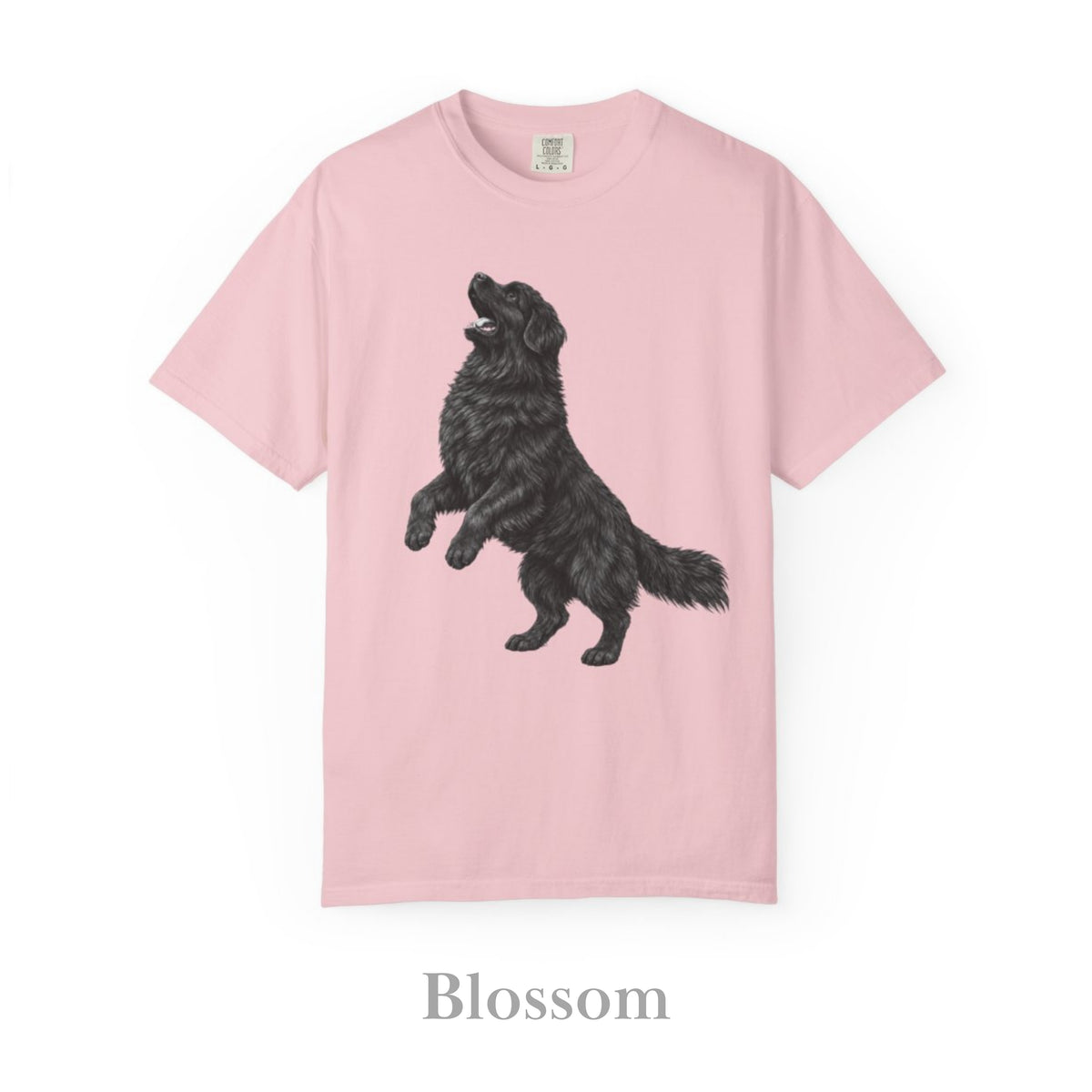 Newfoundland, Illustrated Unisex T-Shirt | Exceptional Comfort
