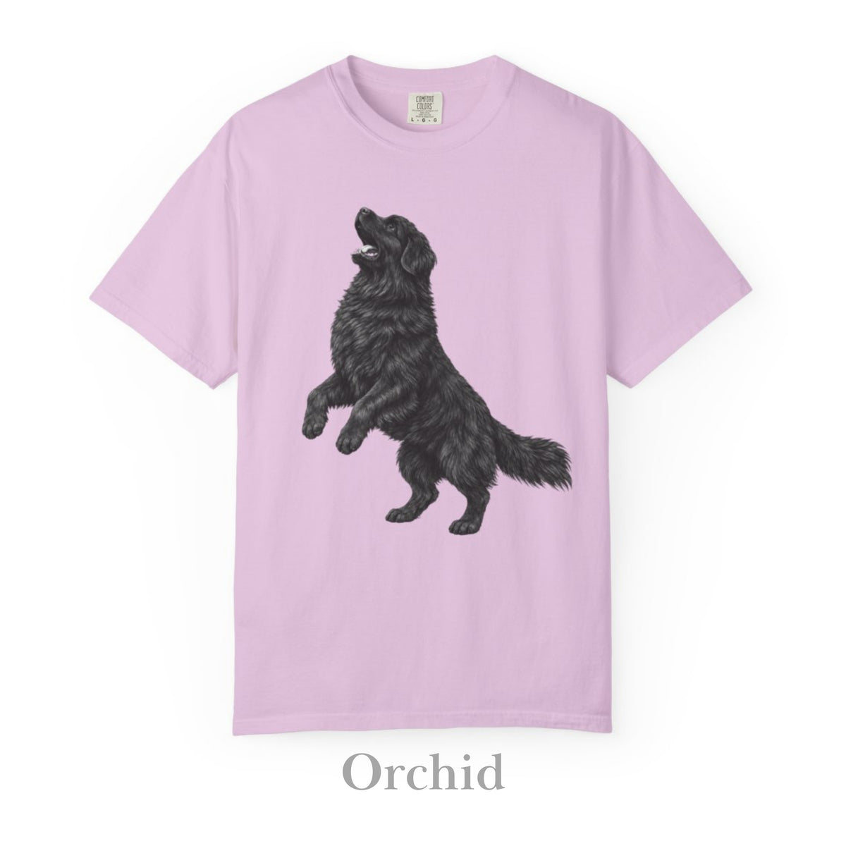 Newfoundland, Illustrated Unisex T-Shirt | Exceptional Comfort