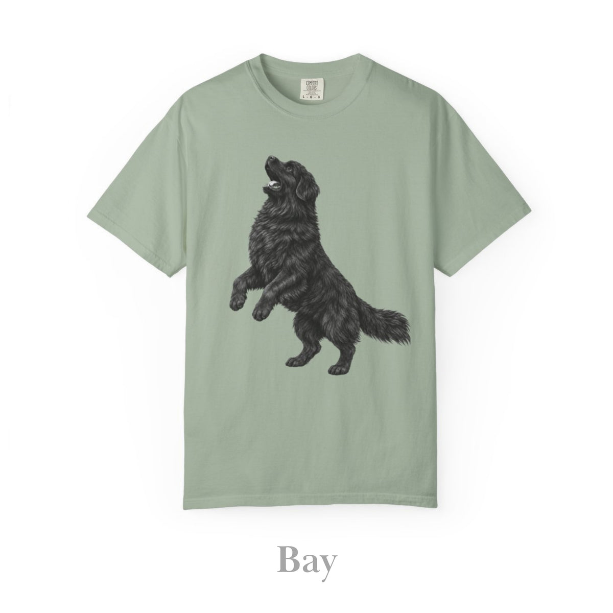 Newfoundland, Illustrated Unisex T-Shirt | Exceptional Comfort