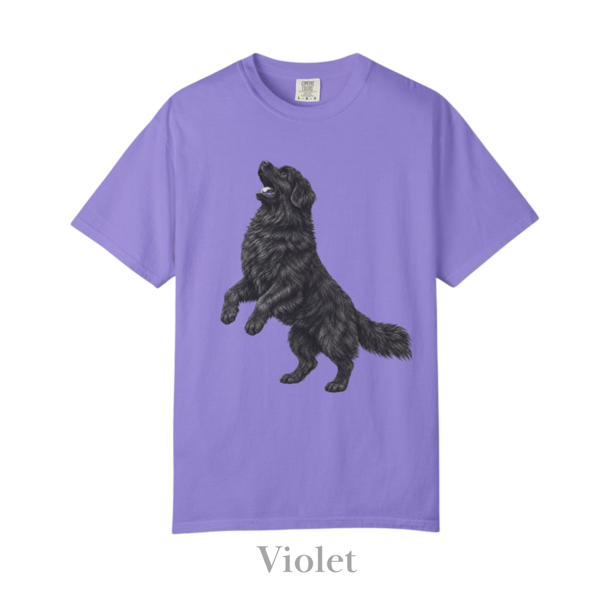 Newfoundland, Illustrated Unisex T-Shirt | Exceptional Comfort