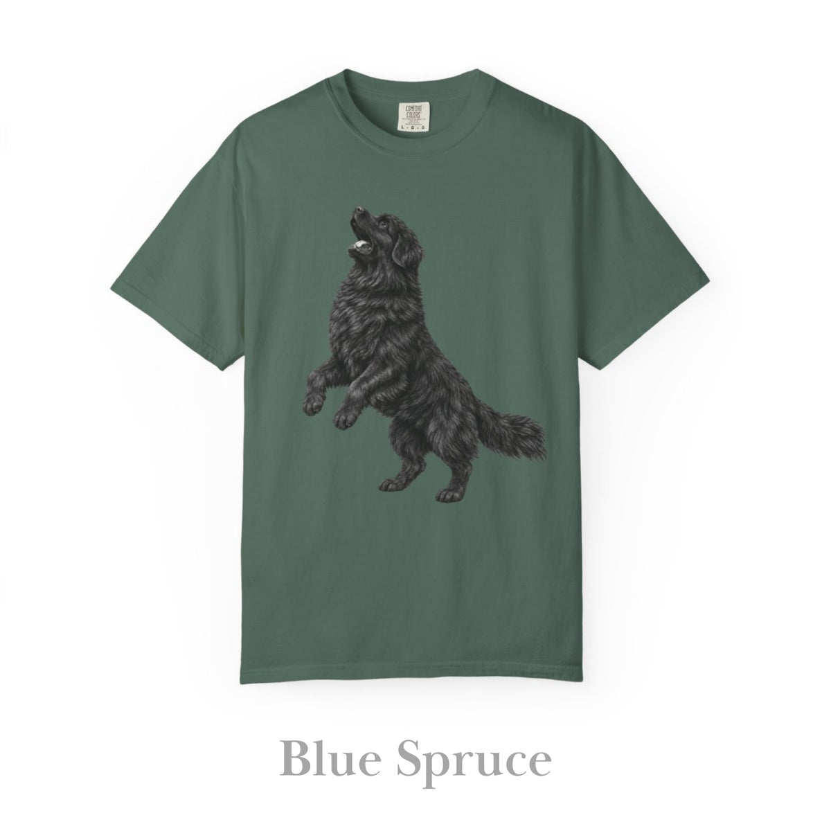 Newfoundland, Illustrated Unisex T-Shirt | Exceptional Comfort