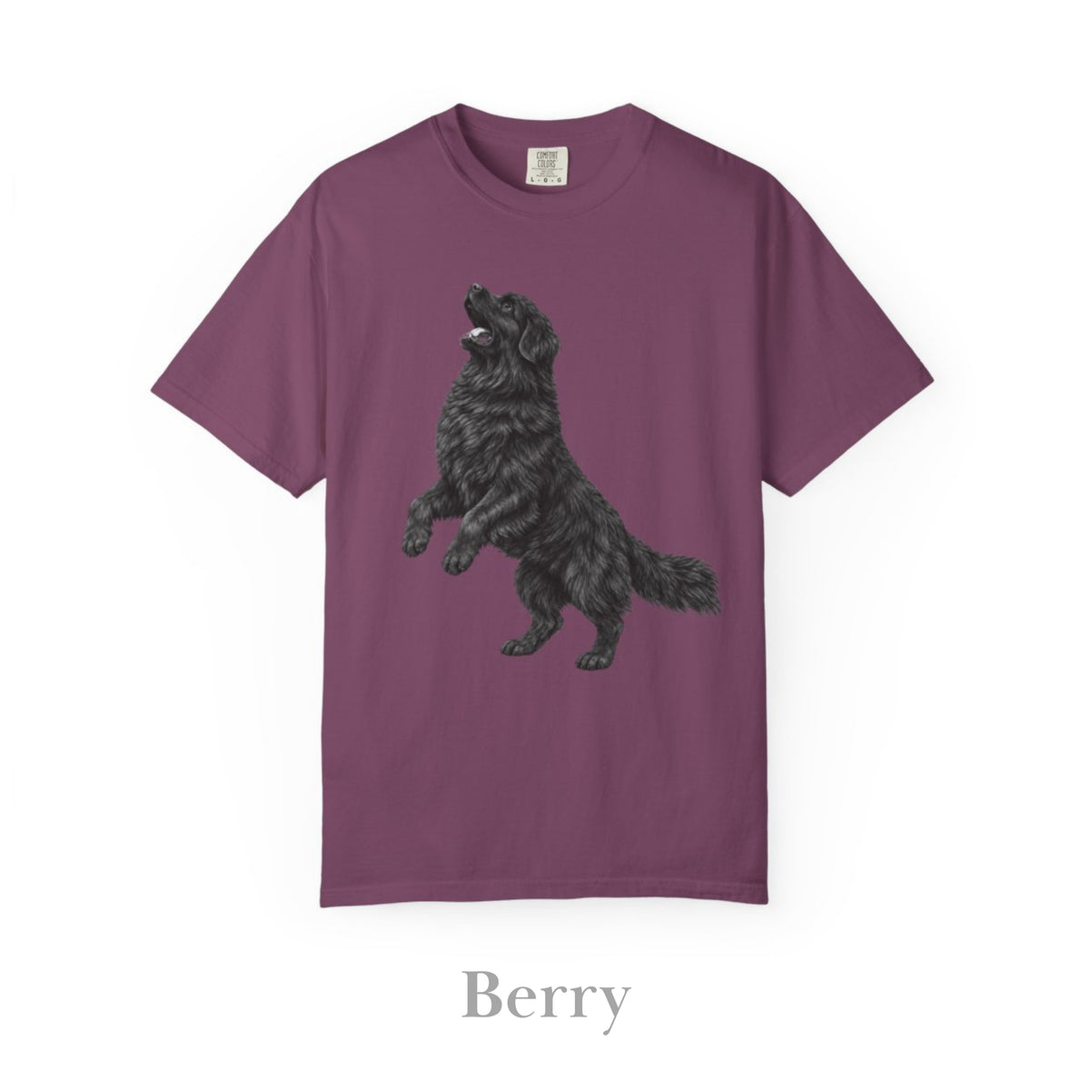 Newfoundland, Illustrated Unisex T-Shirt | Exceptional Comfort