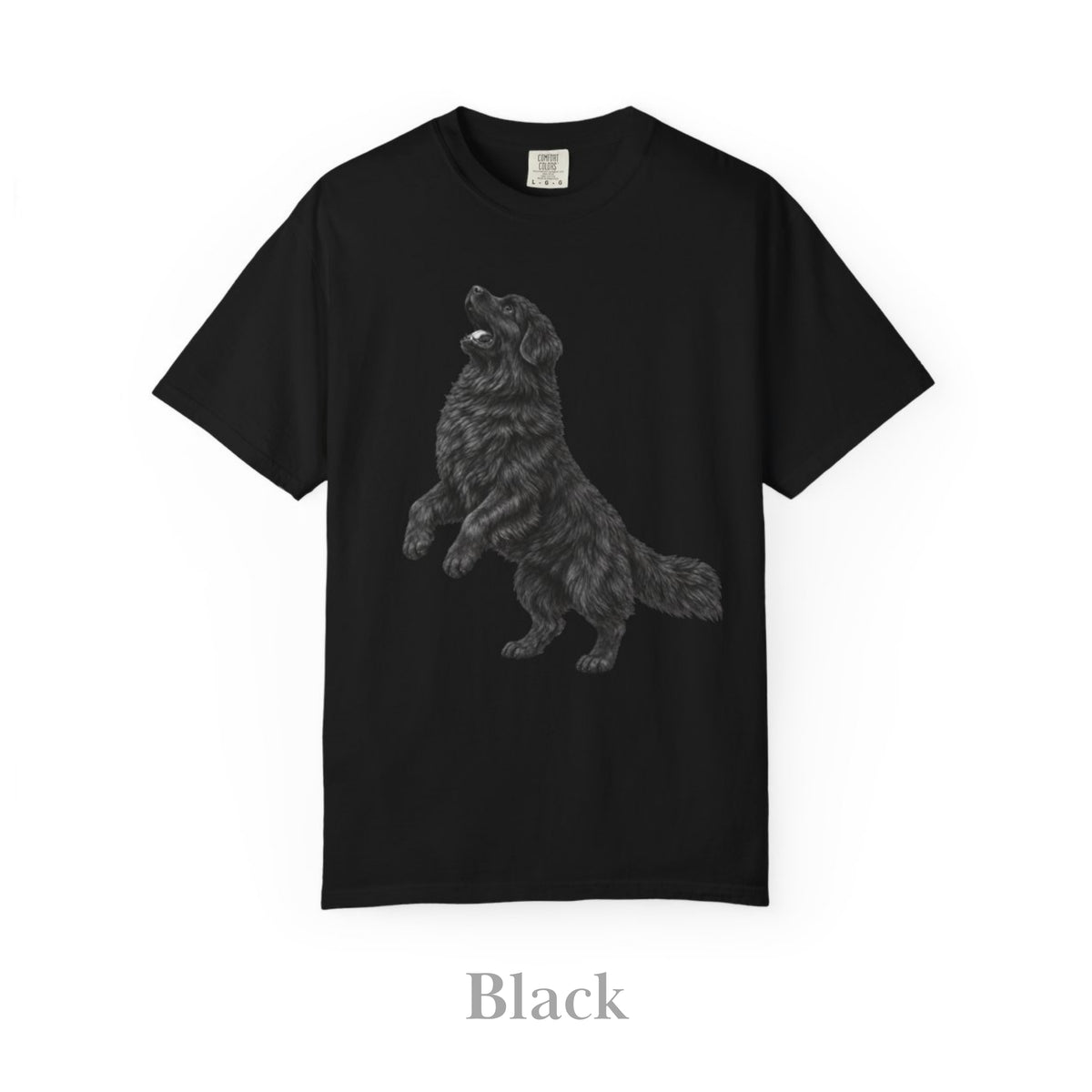 Newfoundland, Illustrated Unisex T-Shirt | Exceptional Comfort