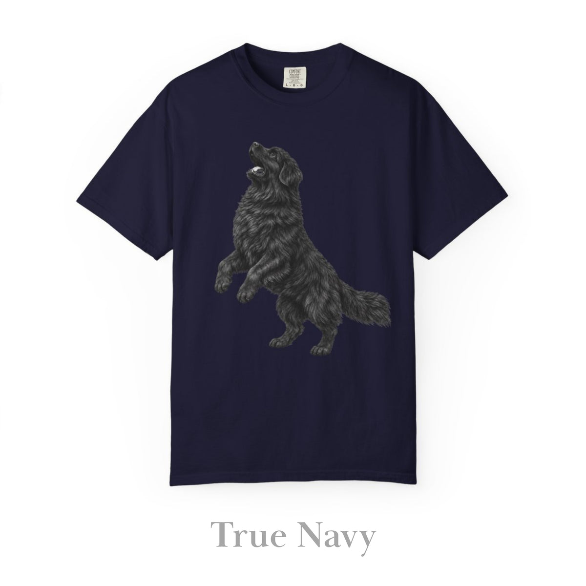 Newfoundland, Illustrated Unisex T-Shirt | Exceptional Comfort
