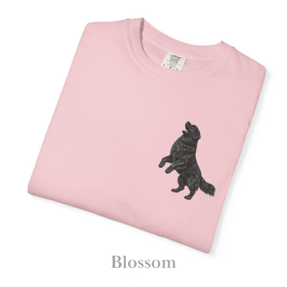 Newfoundland, Illustrated Unisex T-Shirt | Exceptional Comfort
